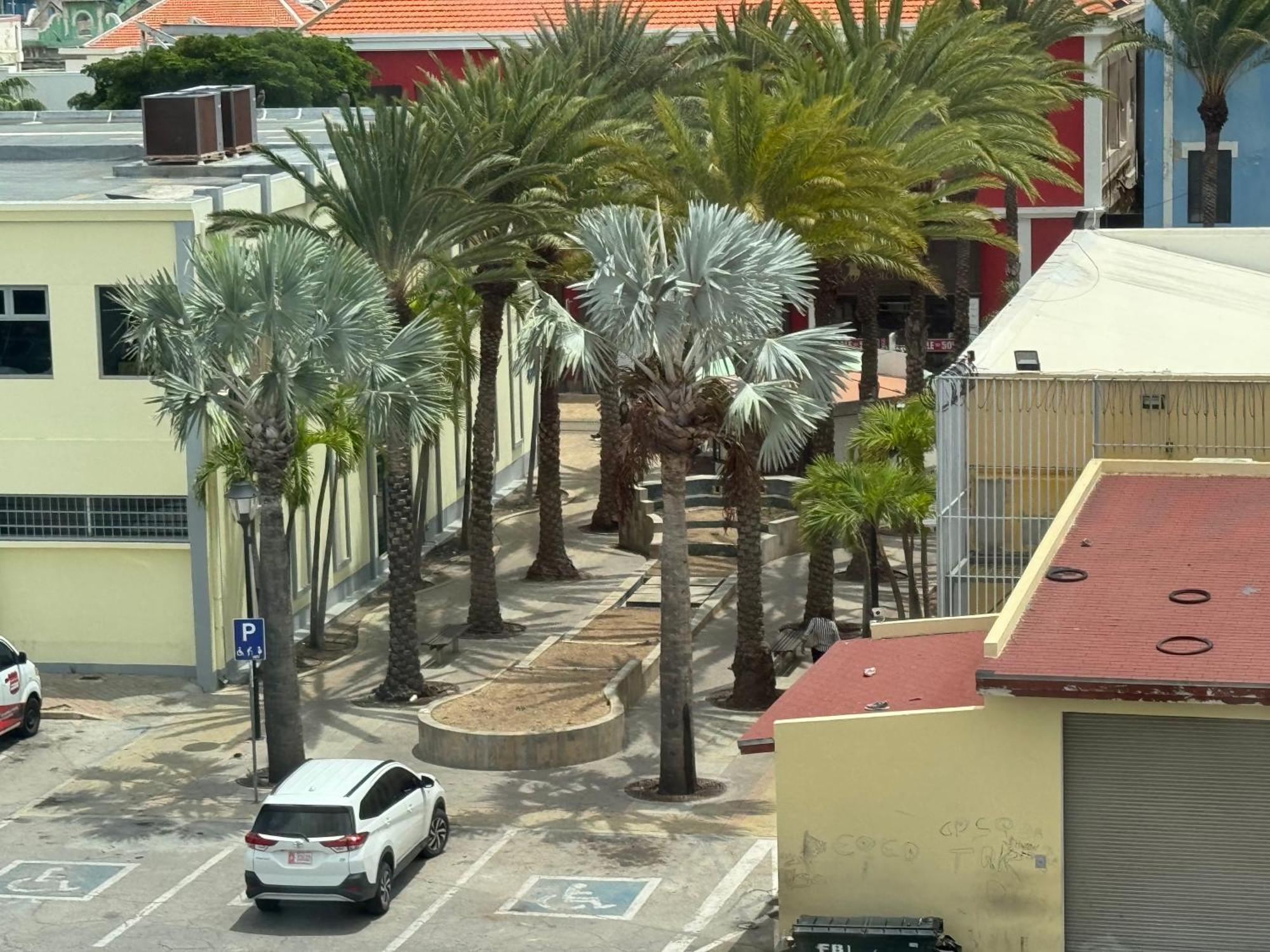Central Boutique Hotel Oranjestad Ngoại thất bức ảnh